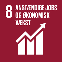 Fn verdensmål nr. 8